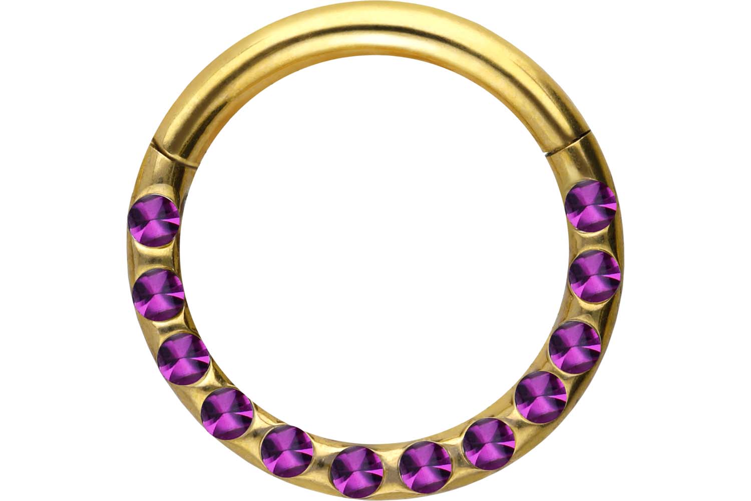Chirurgenstahl Segmentring Clicker Piercing KRISTALLE + EPOXY ++SALE++
